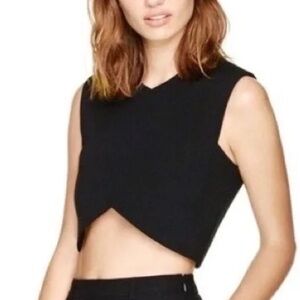 Talula Aritzia Black V-Hem Crop Top